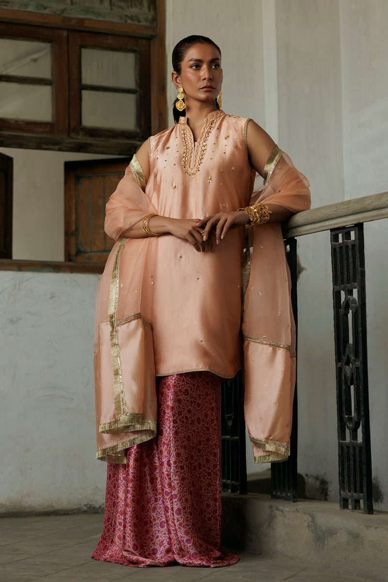 Gulbadan - Light Pink 3 Piece Suit by The Pink Tree Company, view 5