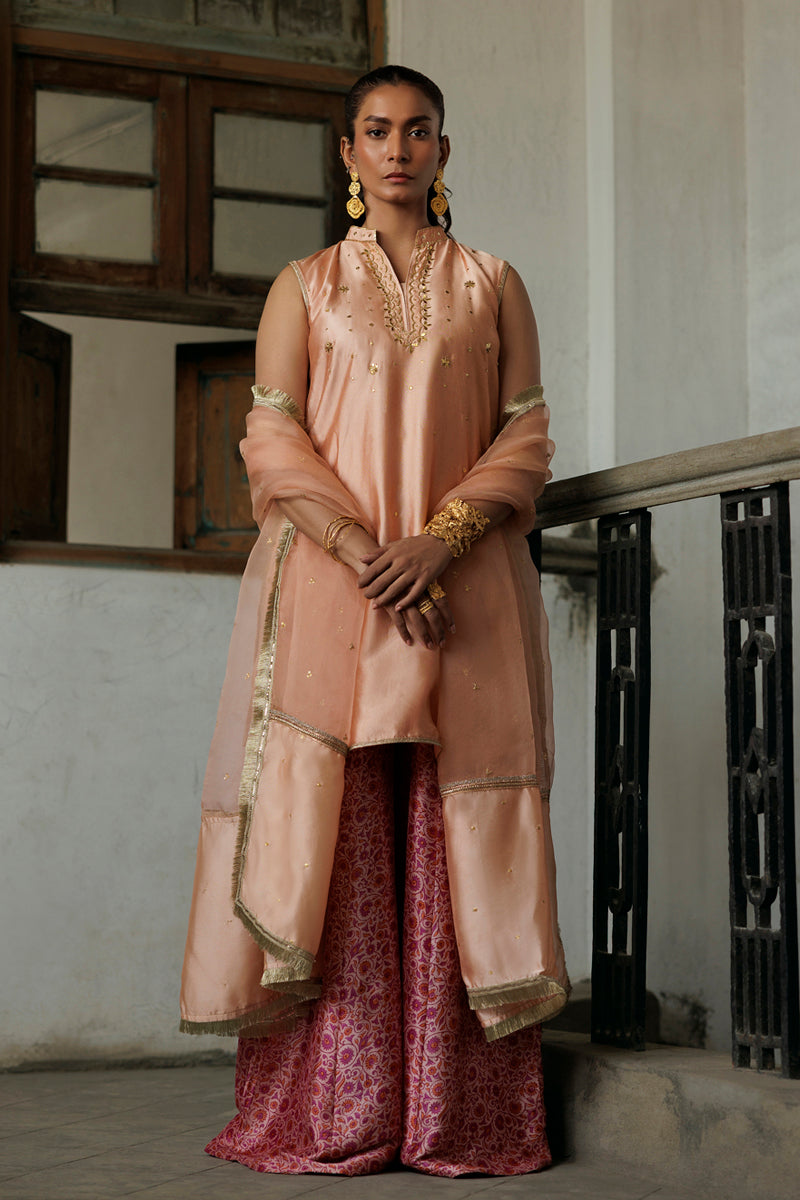 Gulbadan - Light Pink 3 Piece Suit by The Pink Tree Company