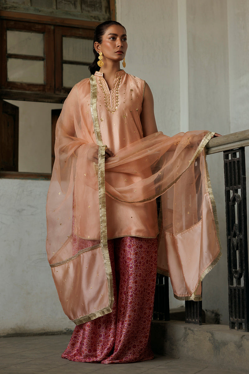 Gulbadan - Light Pink 3 Piece Suit by The Pink Tree Company, view 3