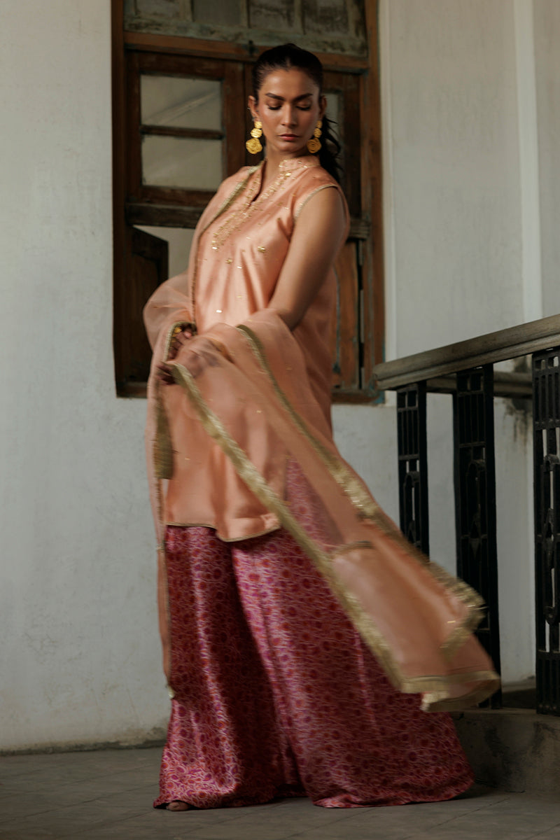 Gulbadan - Light Pink 3 Piece Suit by The Pink Tree Company, view 4