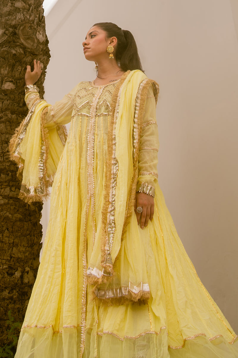 Pukhraj - Pink Peshwaz by The Pink Tree Company, view 3