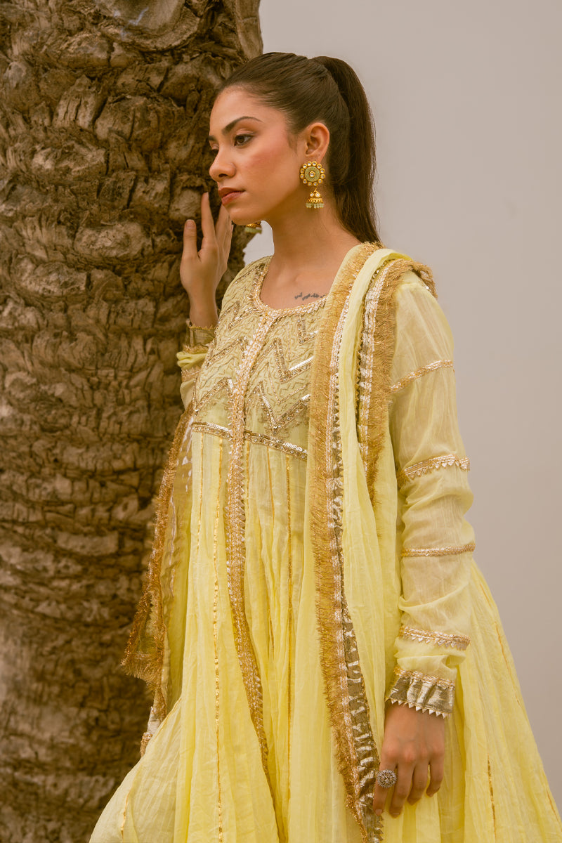 Pukhraj - Pink Peshwaz by The Pink Tree Company, view 5