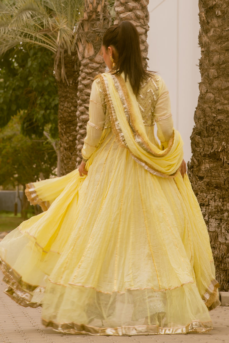 Pukhraj - Pink Peshwaz by The Pink Tree Company