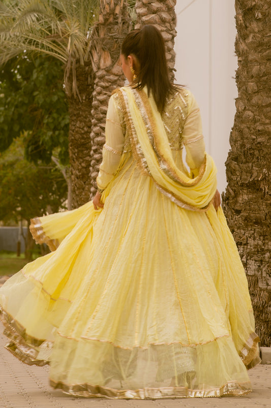 Pukhraj - Pink Peshwaz by The Pink Tree Company