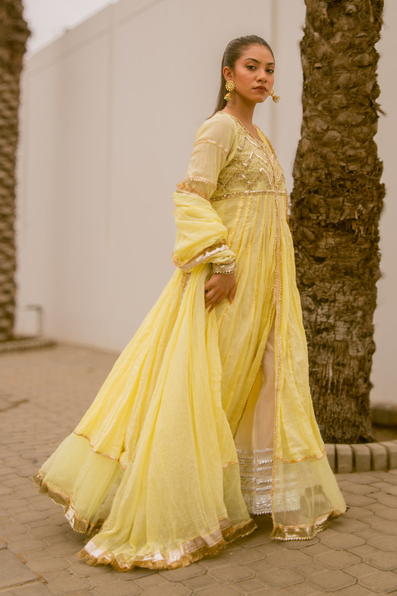 Pukhraj - Pink Peshwaz by The Pink Tree Company, view 4