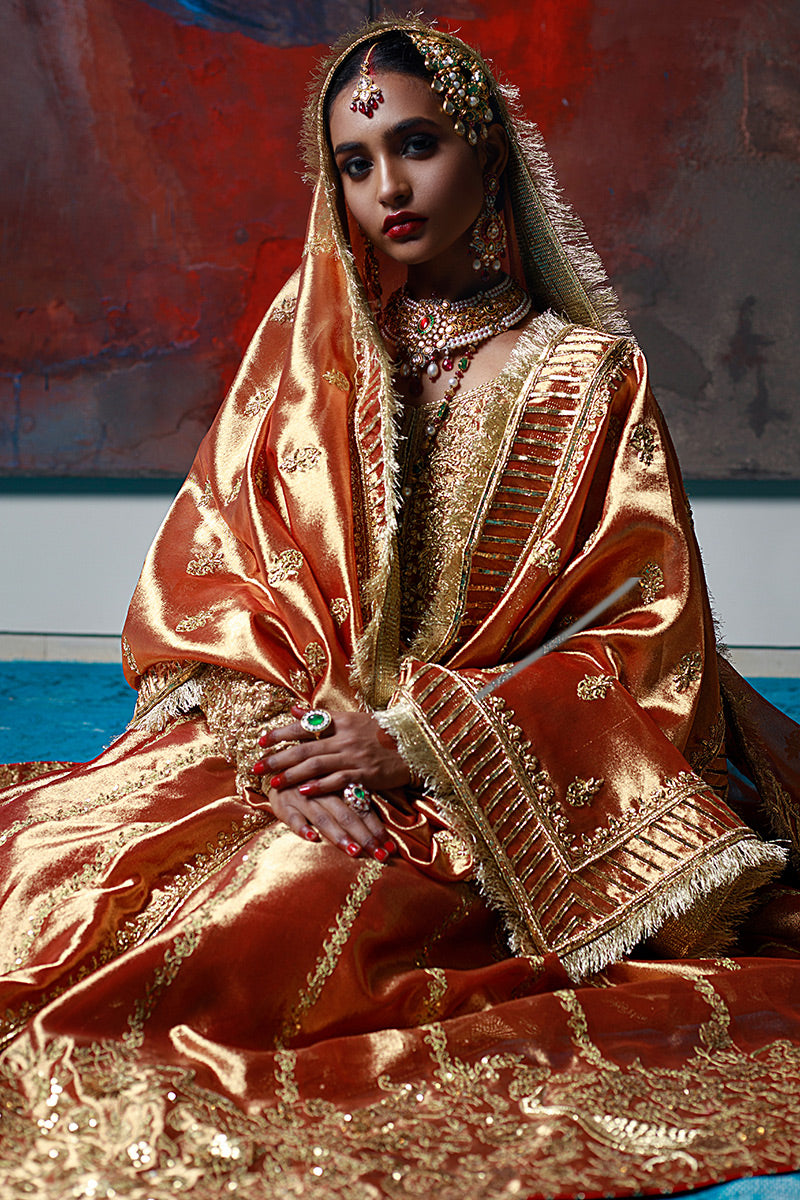 Aabshaar-e-Noor - Rust Peshwaz by The Pink Tree Company, view 4