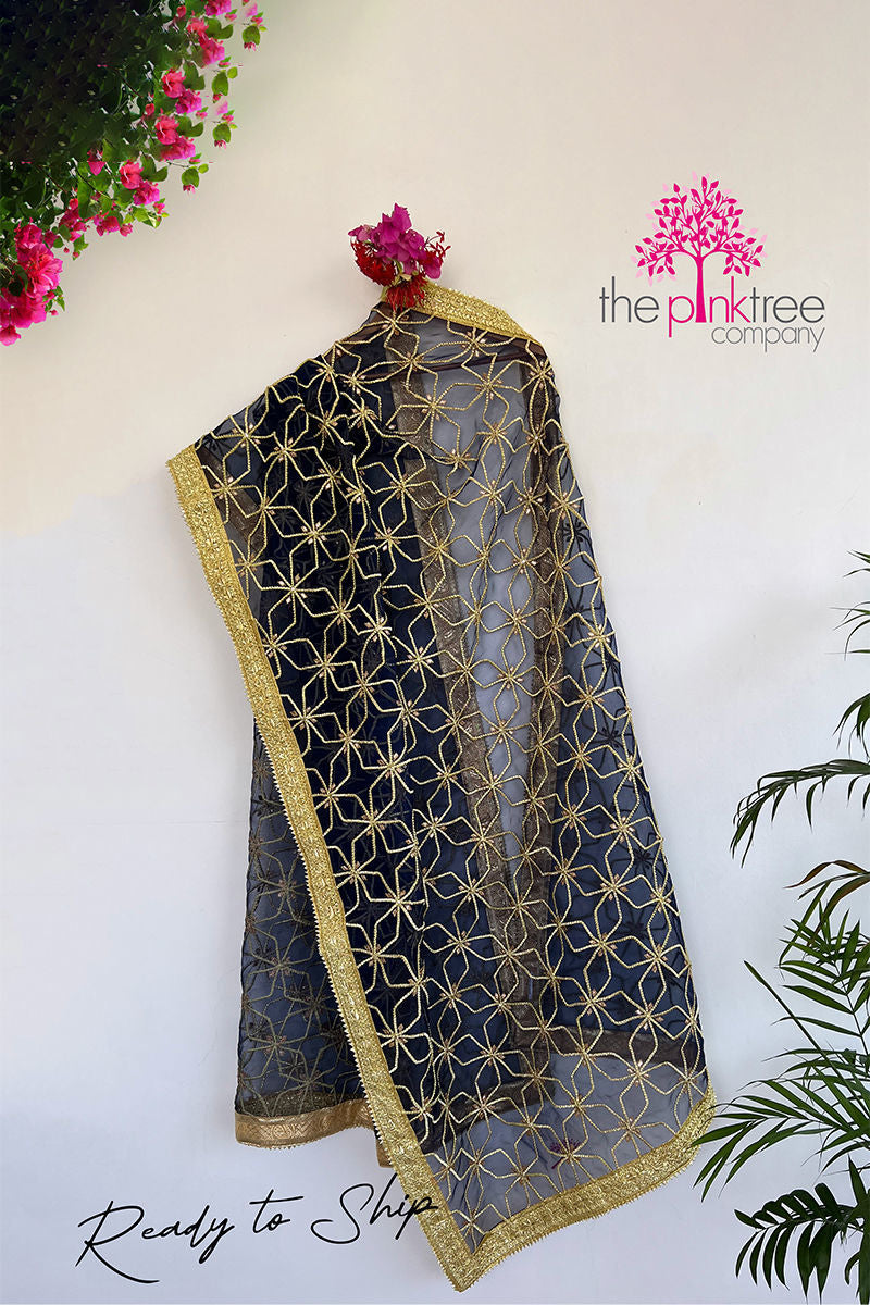 Blue Gota Jaal Dupatta