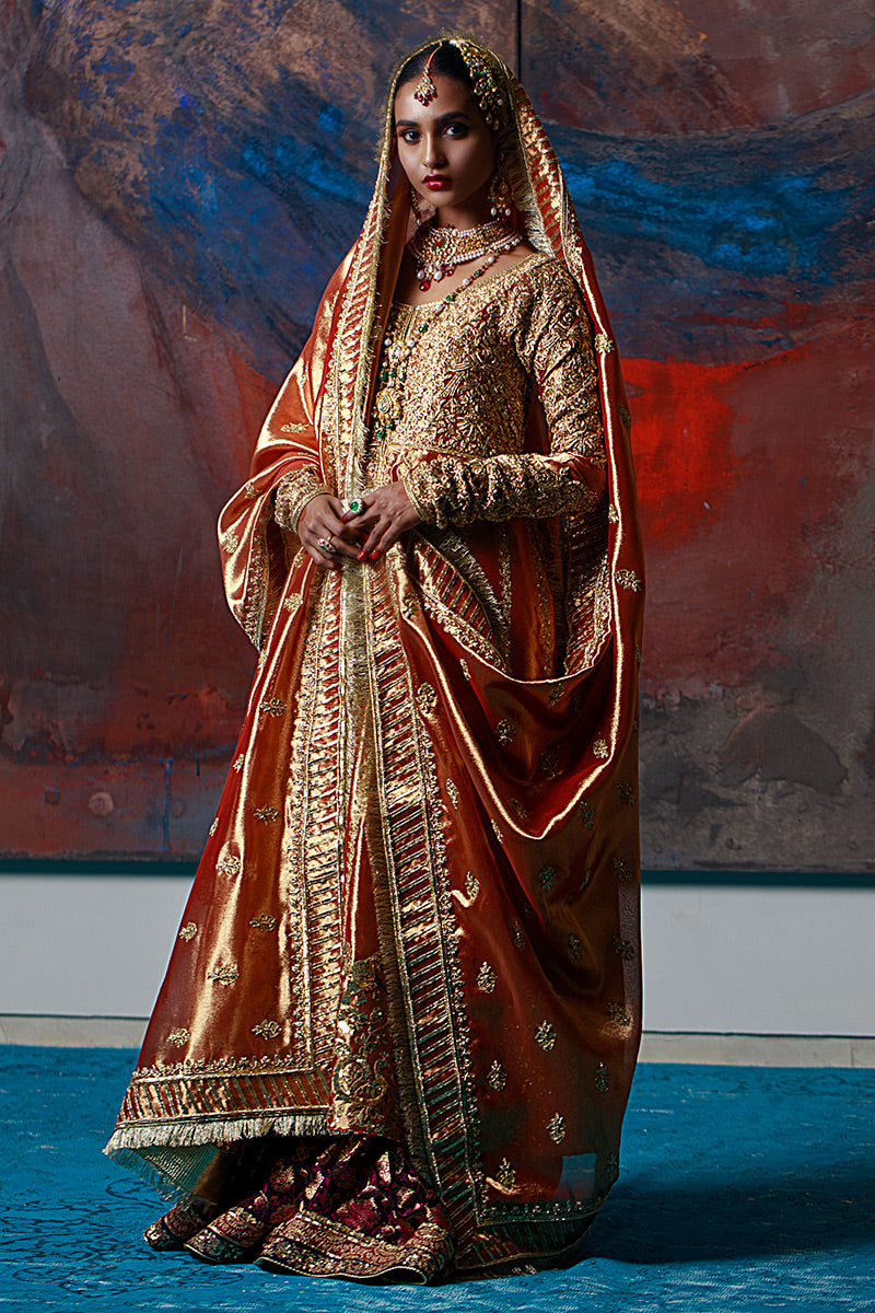 Aabshaar-e-Noor - Rust Peshwaz by The Pink Tree Company