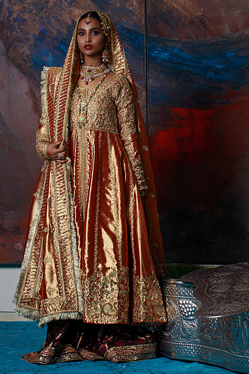 Aabshaar-e-Noor - Rust Peshwaz by The Pink Tree Company, view 2