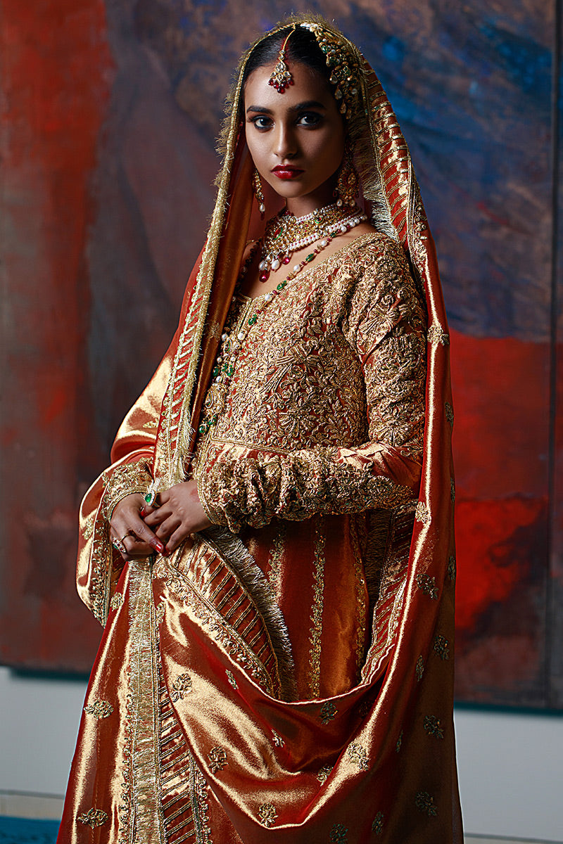 Aabshaar-e-Noor - Rust Peshwaz by The Pink Tree Company, view 3